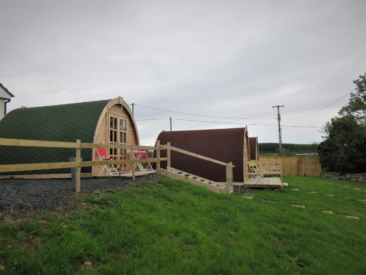 Shannon Estuary Glamping Effernan Экстерьер фото