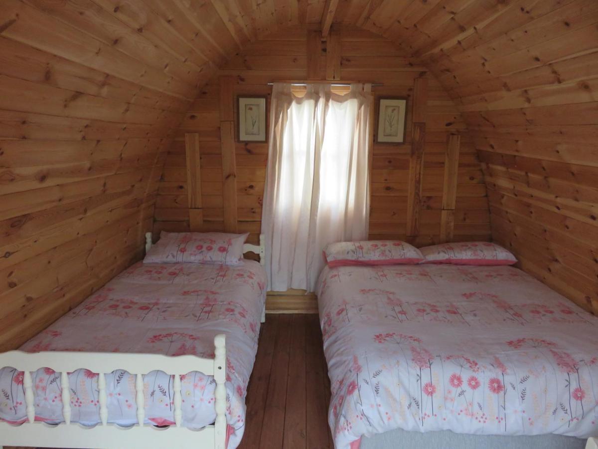 Shannon Estuary Glamping Effernan Экстерьер фото