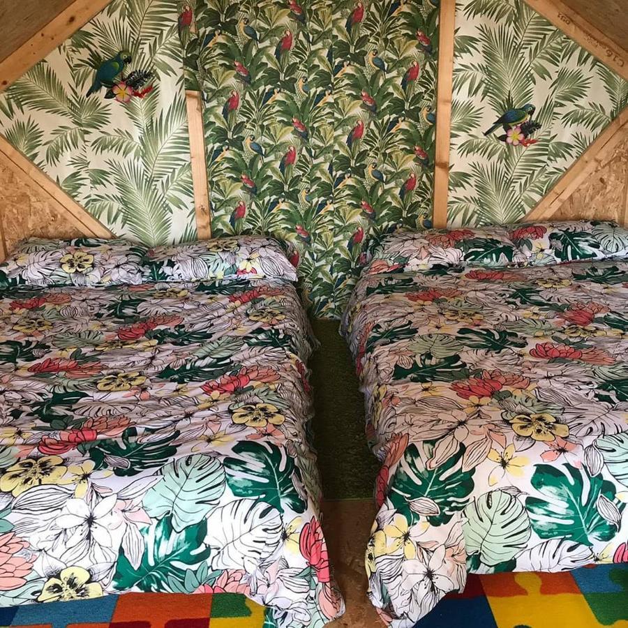 Shannon Estuary Glamping Effernan Экстерьер фото