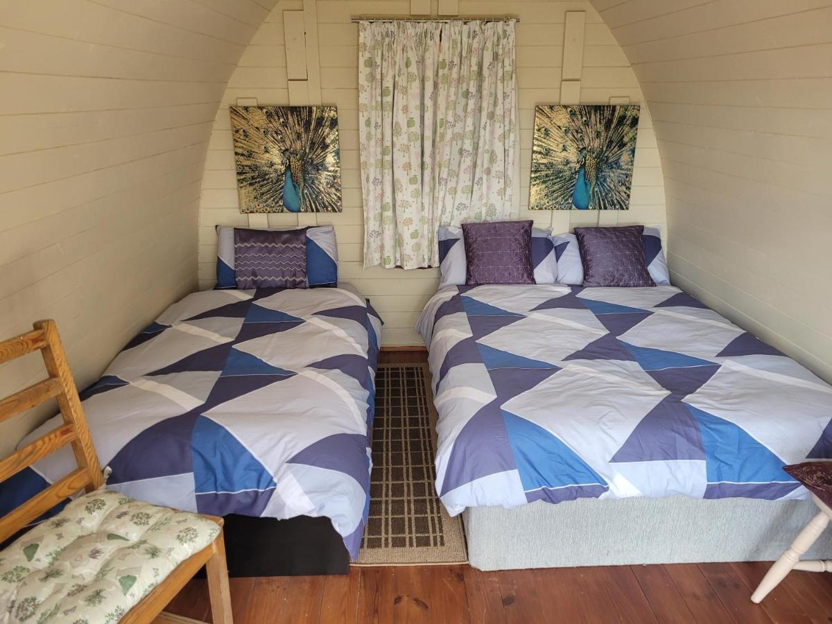 Shannon Estuary Glamping Effernan Экстерьер фото