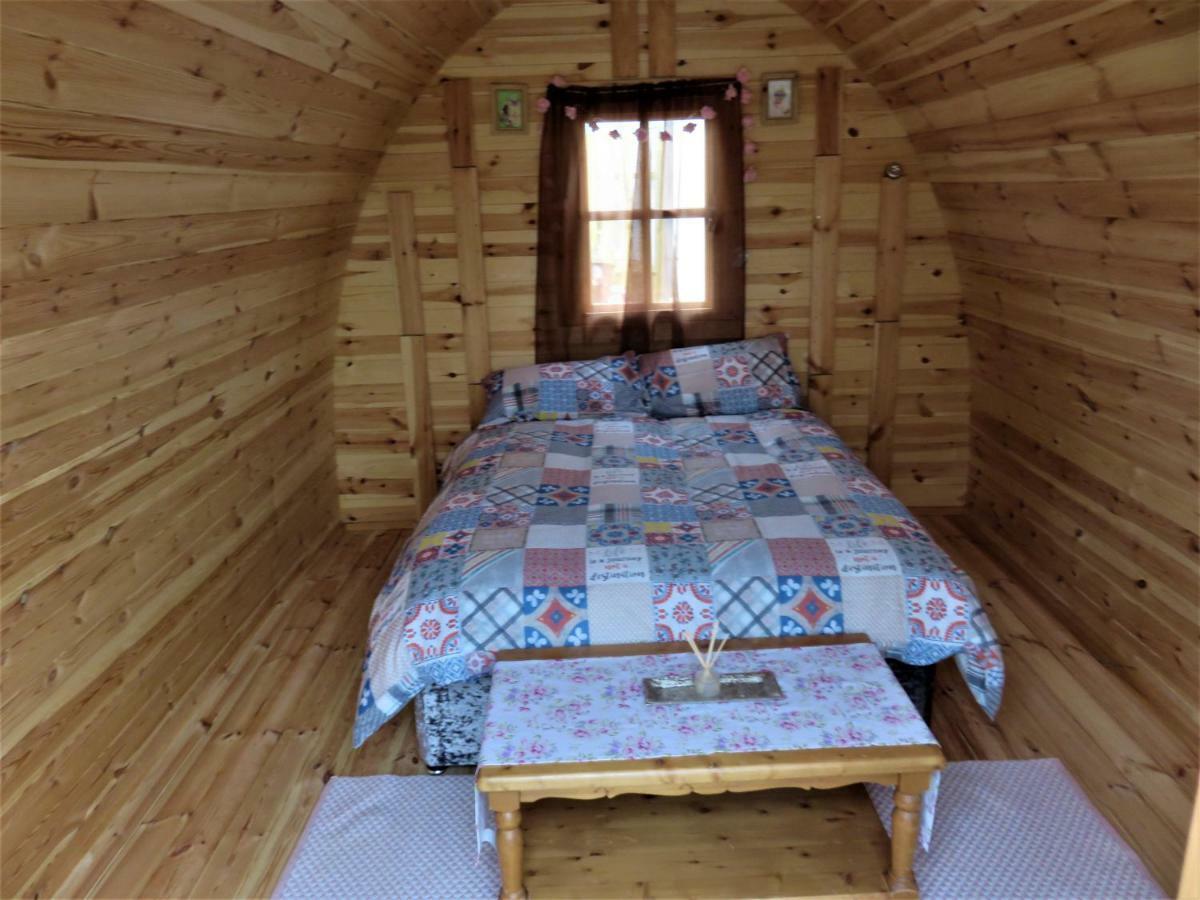Shannon Estuary Glamping Effernan Экстерьер фото