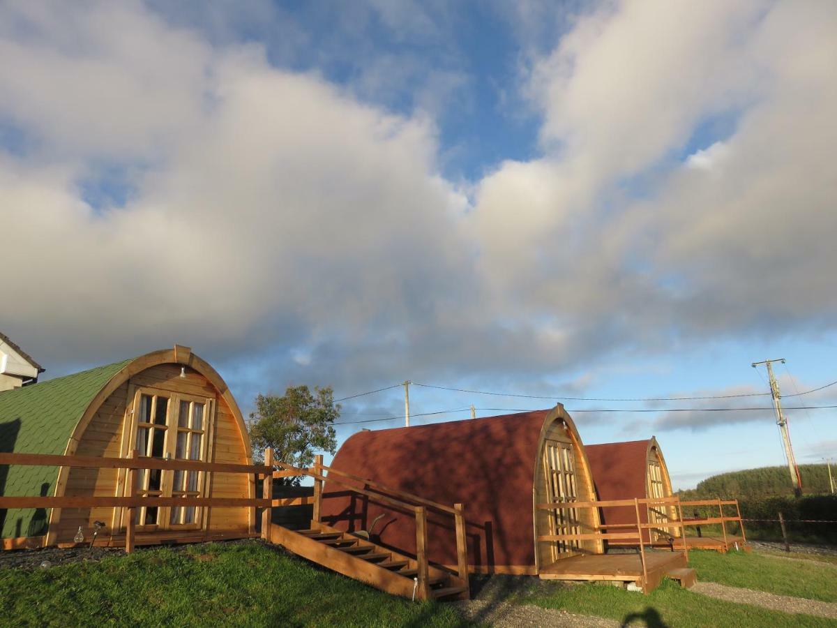 Shannon Estuary Glamping Effernan Экстерьер фото