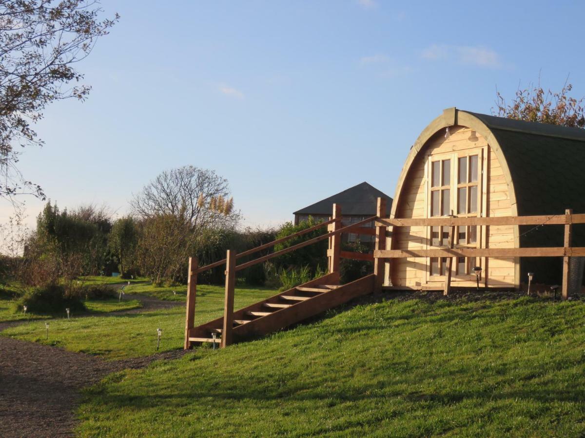 Shannon Estuary Glamping Effernan Экстерьер фото